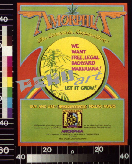 amorphia-the-cannabis-cooperative