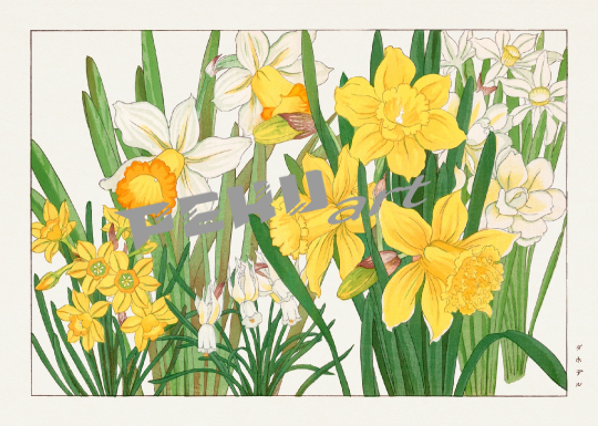 aquarell-blumen-vintage-kunst