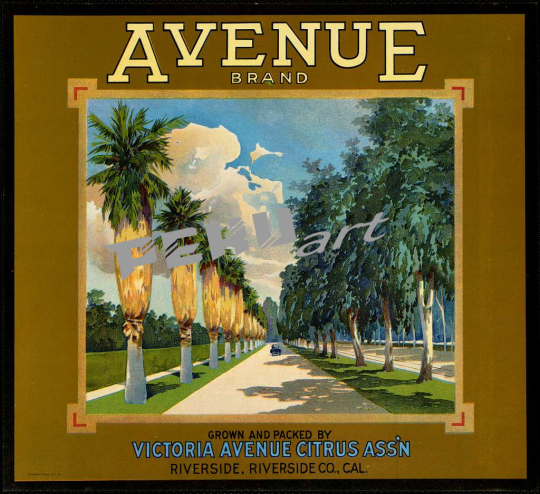 avenue-brand-grown-and-packed-by-victoria-avenue-citrus-assn