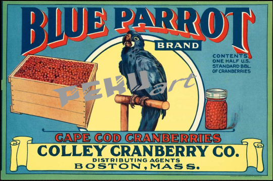 blue-parrot-brand-cape-cod-cranberries-colley-cranberry-co-d