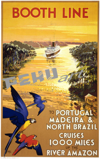 Brazil Cruises