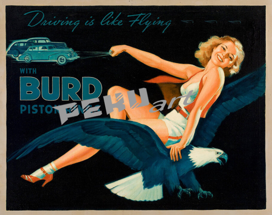 Burd Piston Rings automobile 