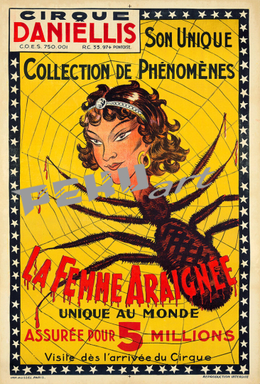 Cirque Danielles circus 