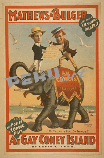 Coney Island Elephants