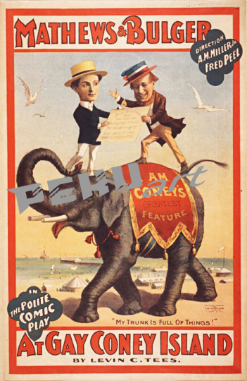 Coney Island Elephants (2)