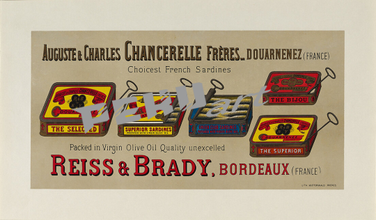 conserves chancerelle sardines