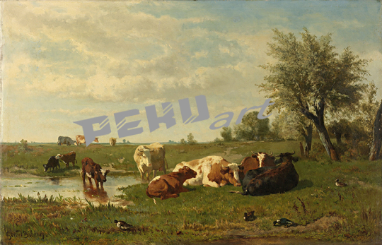 Cows Bilders fine art prints