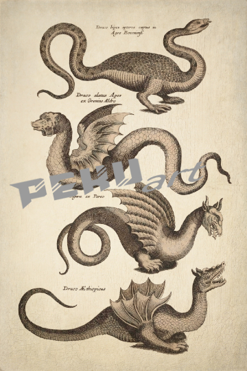 drachen-fabelwesen-vintage-kunst