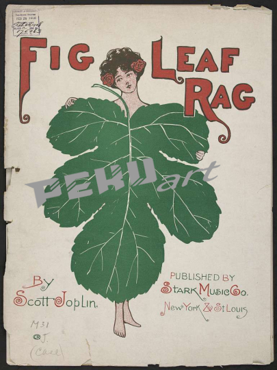 fig-leaf-rag-6a50b8