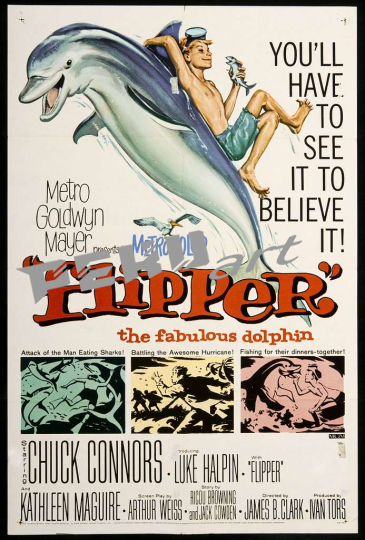 flipper-1963-movie-poster-063bb5