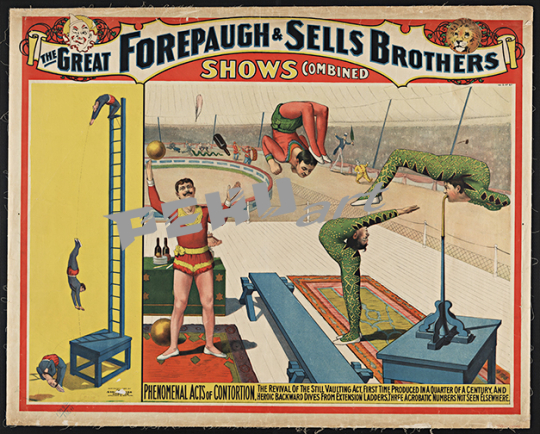 Forepaugh ContortionistsCircus