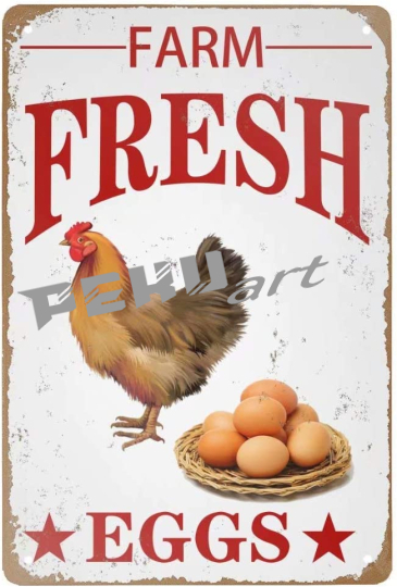 Fresh Eggs