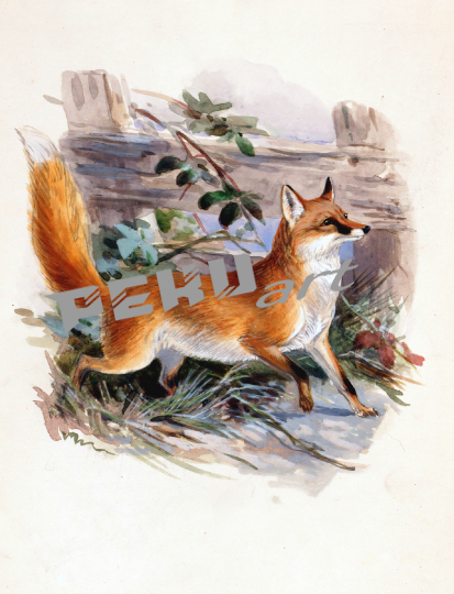 fuchs-canide-vintage-kunst