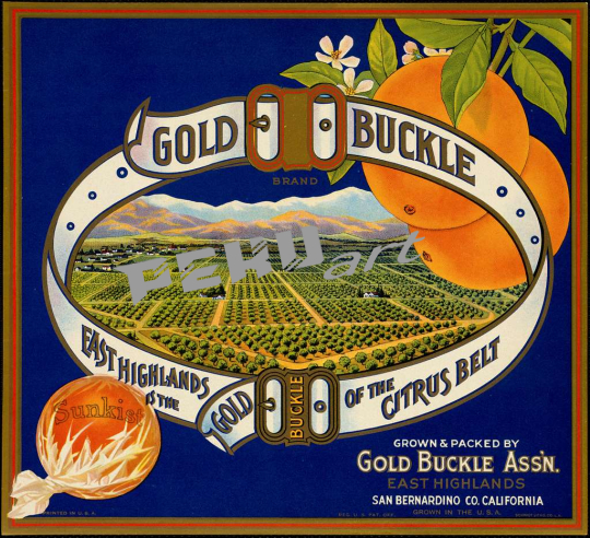gold-buckle-brand-east-highlands-is-the-gold-buckle-of-the-c