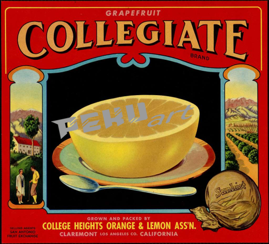 grapefruit-collegiate-brand-grown-and-packed-by-college-heig