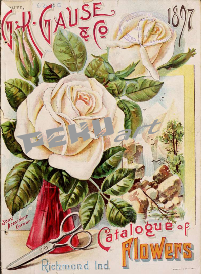 g-r-gause-and-co-catalogue-of-flowers-1897-cover-3a1e00