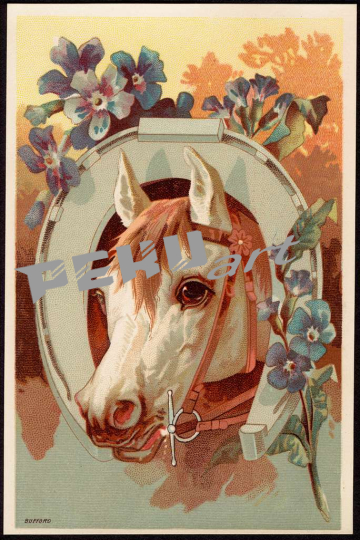 horse-with-head-through-horseshoe-flowers-in-forefront-26f28