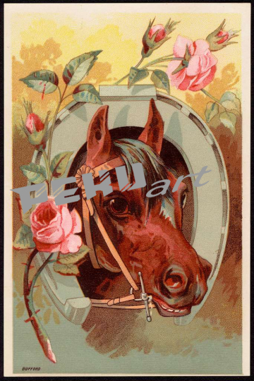 horse-with-head-through-horseshoe-flowers-in-forefront-bb915