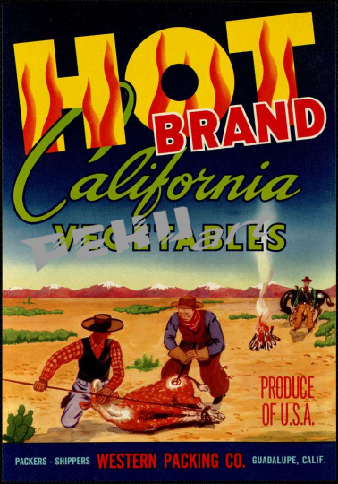 hot-brand-california-vegetables-produce-of-usa-packers-shipp