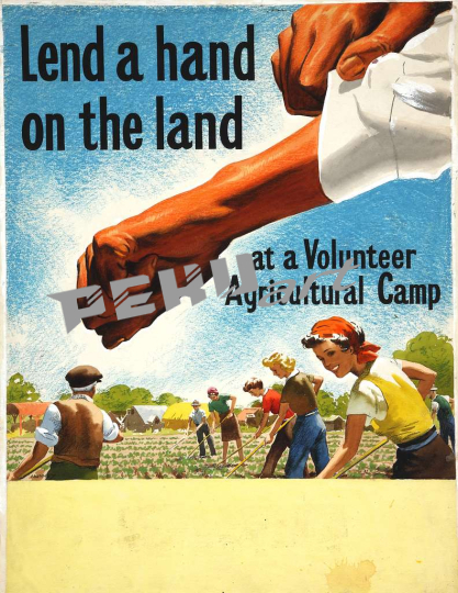 inf3-105-food-production-lend-a-hand-on-the-land-at-a-volunt