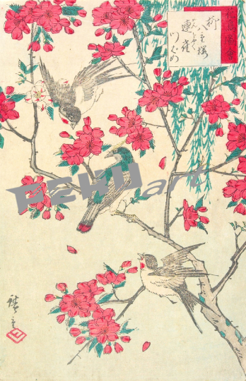 japanische-kunst-vogel-blumen-1667705548ymP