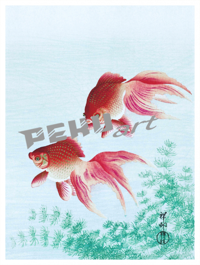 japan-koi-fisch-vintage