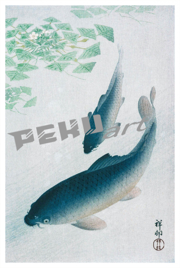 japan-koi-fisch-vintage