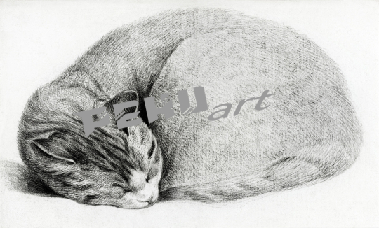 katze-katzchen-niedlich-vintage