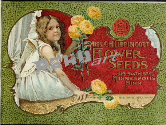 miss-ch-lippincott-flower-seeds-16511028152-eb1e1b