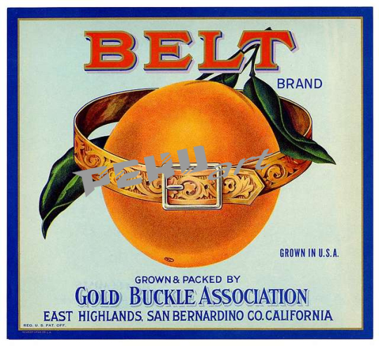 orange-crate-label-belt-brand-schmidt-litho-co-46106e