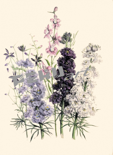 pflanzen-blumen-vintage-alt