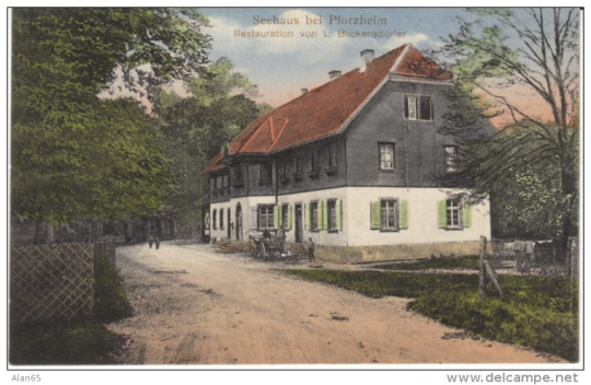 pforzheimgermanyseehausbeipforzheimrestaurant