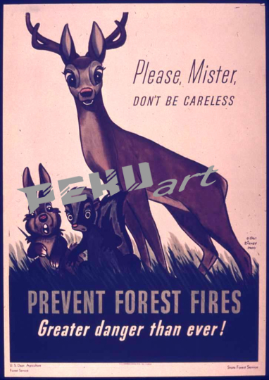 please-mister-dont-be-careless-prevent-forest-fires-greater-