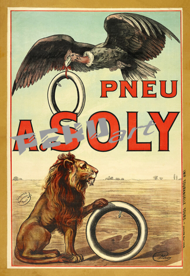 pneu soly bicycle 
