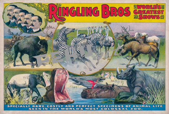 Ringling Bros
