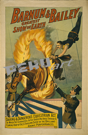 Ringling Horse through fireCircus