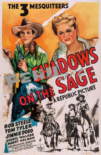 shadows-on-the-sage-filmposter-4ab4e2