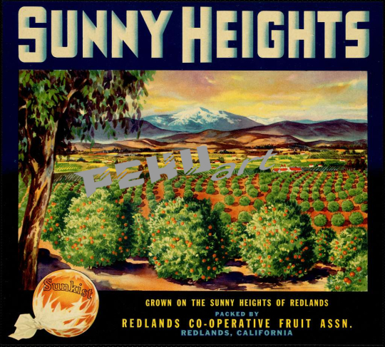 sunny-heights-grown-in-the-sunny-heights-of-redlands-packed-