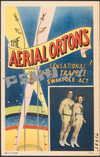 the-aerial-ortons-sensational-high-trapeze-swaypole-act-f479