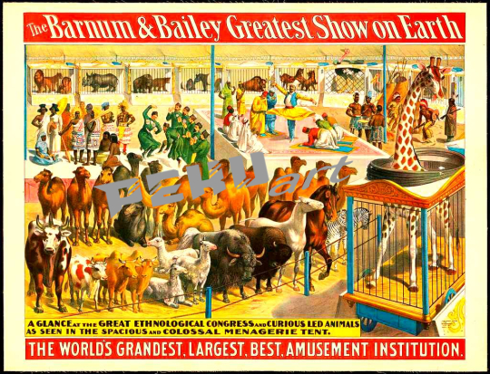 the-barnum-and-bailey-greatest-show-on-earth-a-glance-at-the