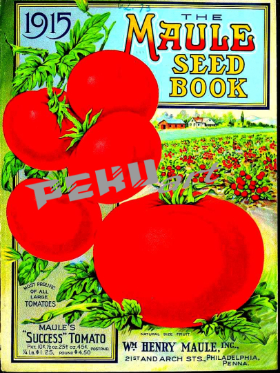 the-maule-seed-book-1915-cover-007962