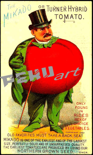 the-mikado-or-turner-hybrid-tomato-only-found-in-rices-box-o