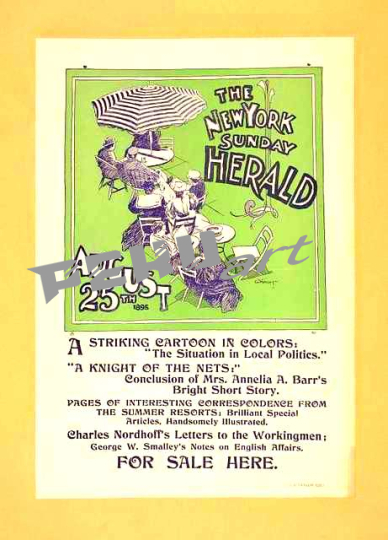 the-new-york-sunday-herald-august-25th-1895-9fe1ed