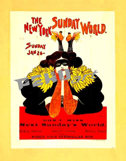 the-new-york-sunday-world-sunday-jan-26-1896-fe08db