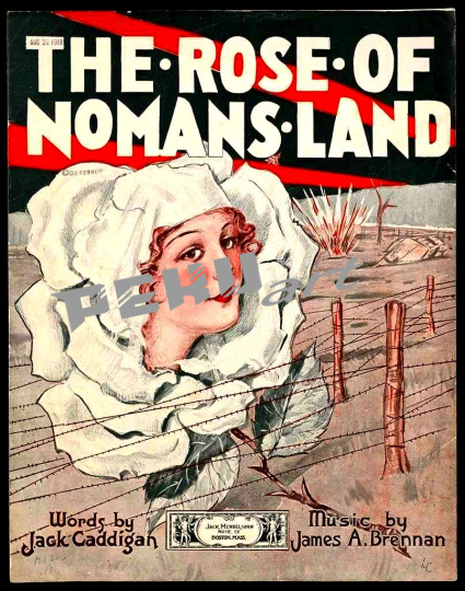 the-rose-of-no-mans-land-2caf71