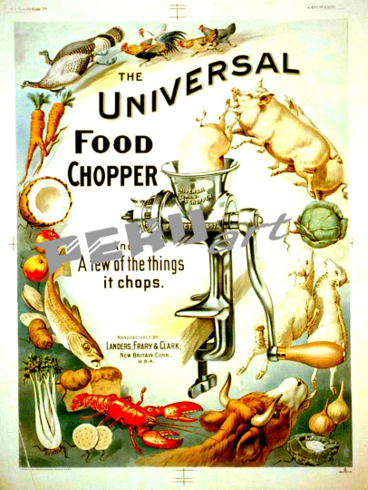 the-universal-food-chopper-6a7eba