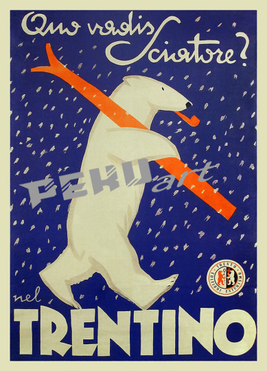 Trentino polar bear ski 