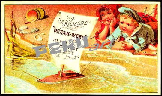 use-dr-kilmers-ocean-weed-heart-remedy-binghamton-n-y-u-s-a-
