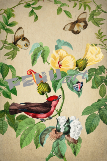 vintage-blumen-vogel-schmetterlinge