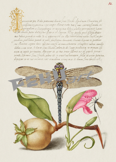 vintage-kunst-kalligrafie-blumen